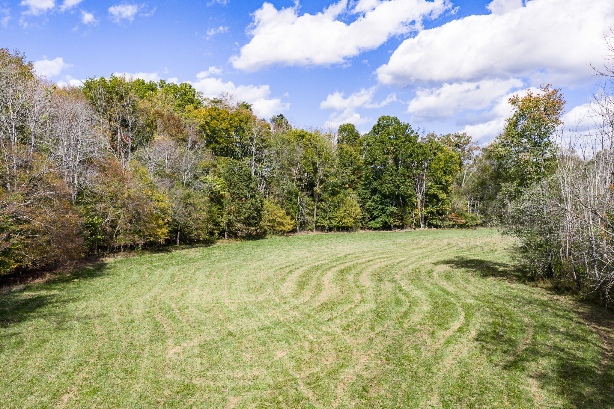 7630 Walking Horse Lane Cookeville TN 38501