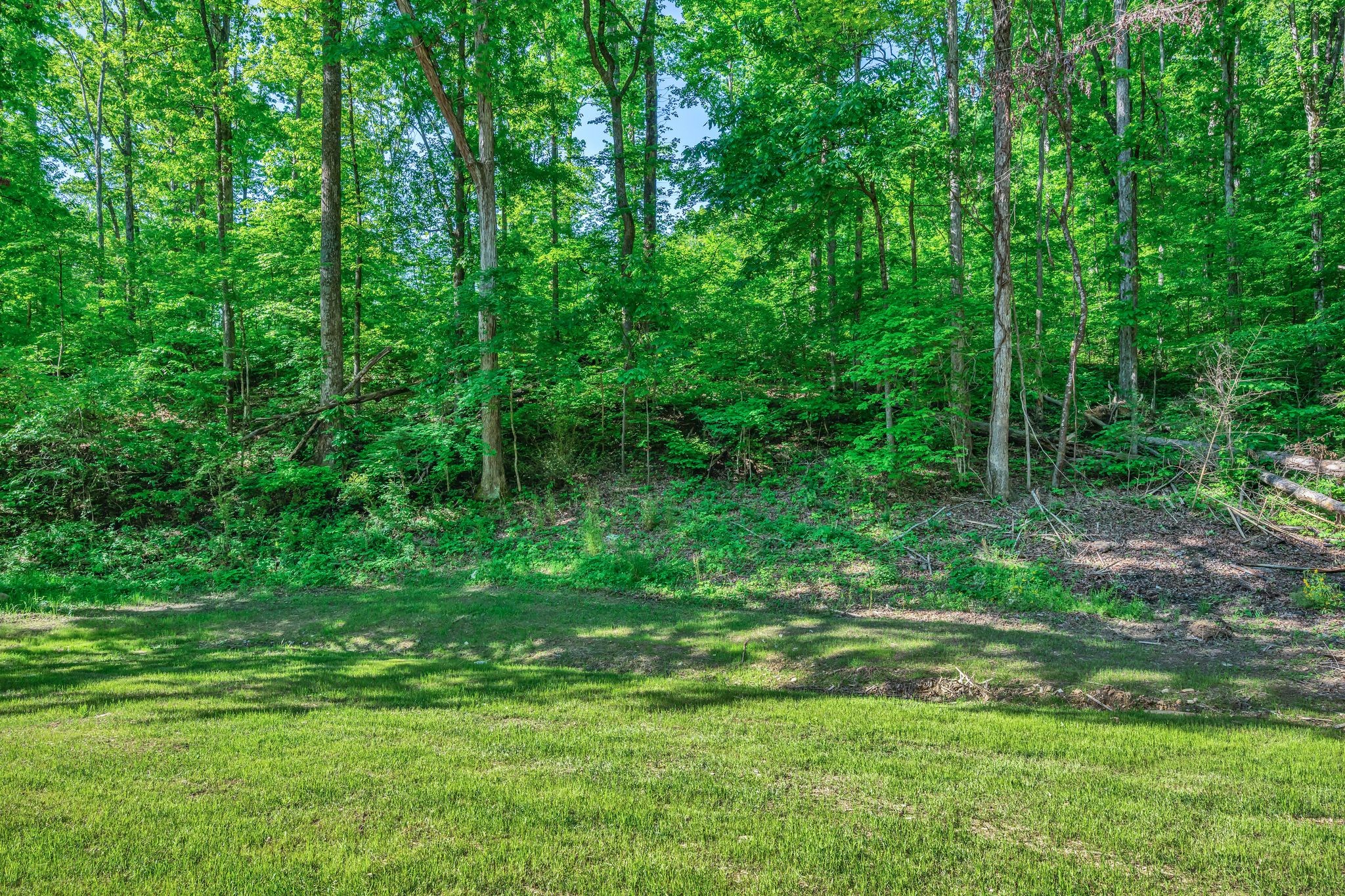 120 Bern Street Waverly TN 37185