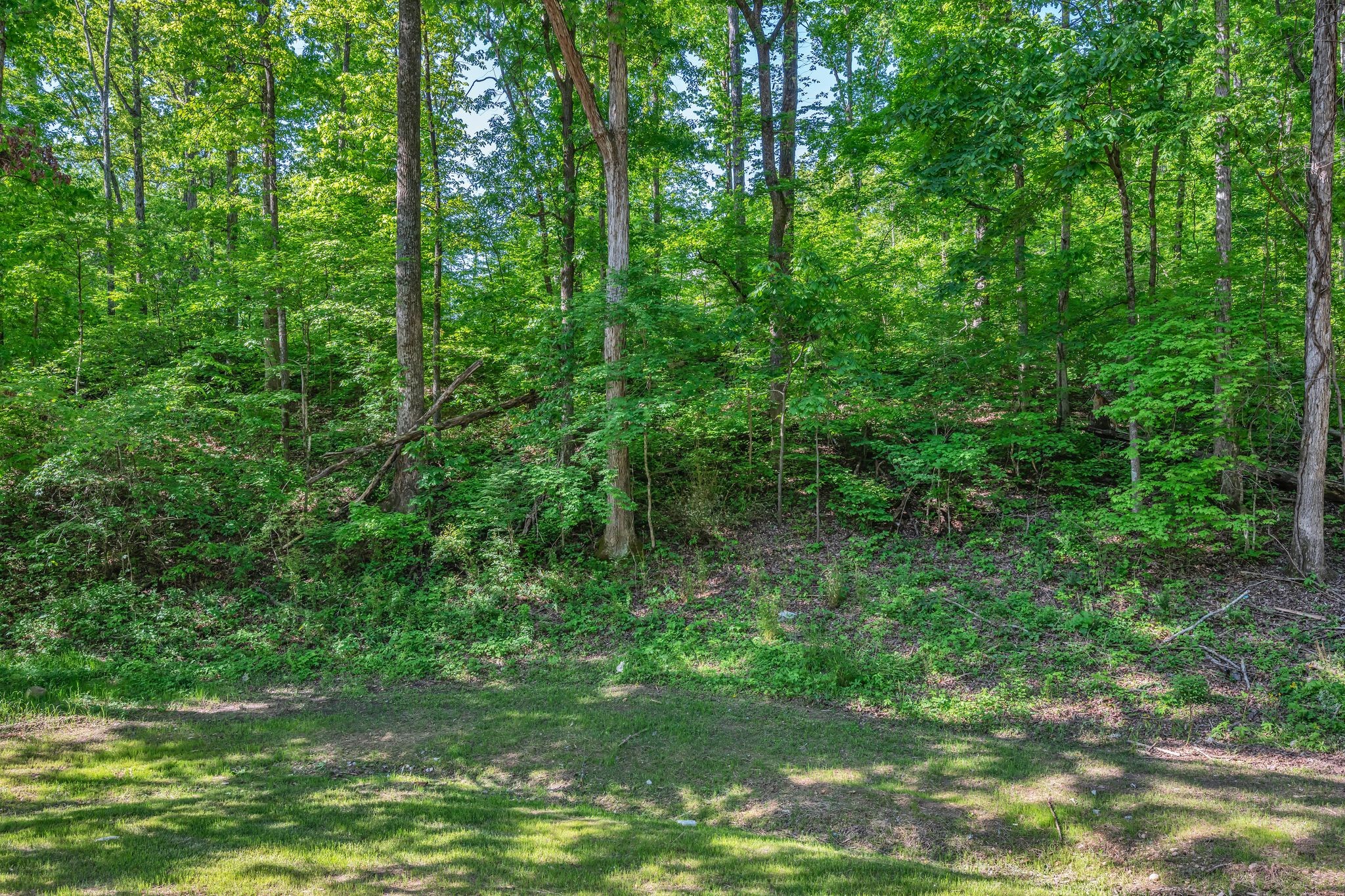 120 Bern Street Waverly TN 37185