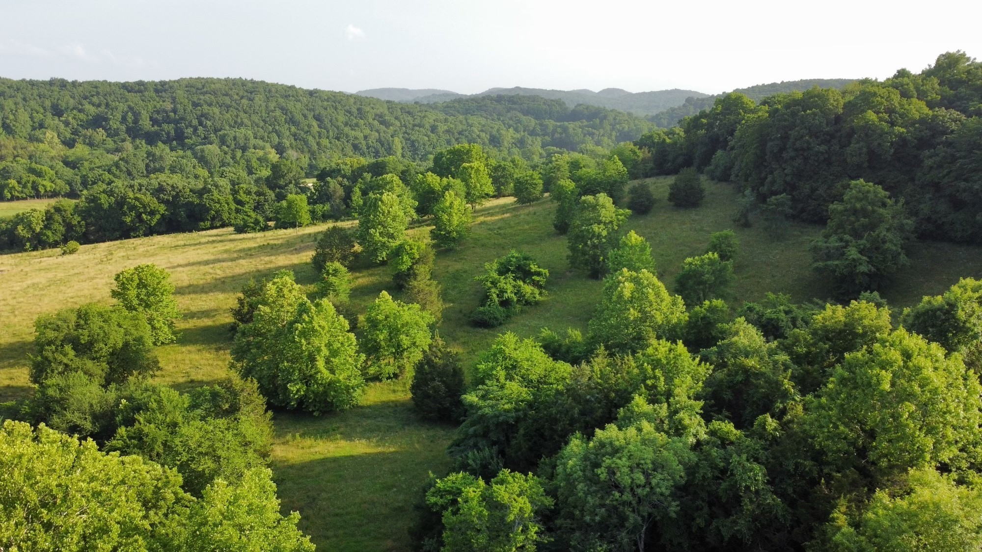3550 Kennedy Creek Road Watertown TN 37184