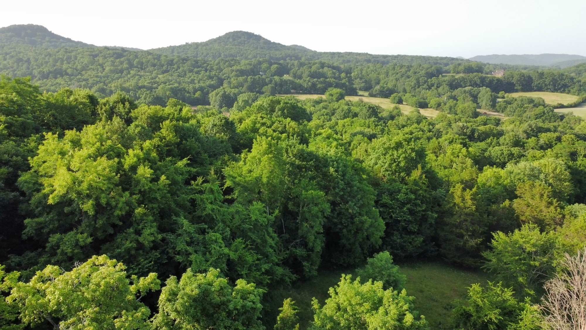 3550 Kennedy Creek Road Watertown TN 37184