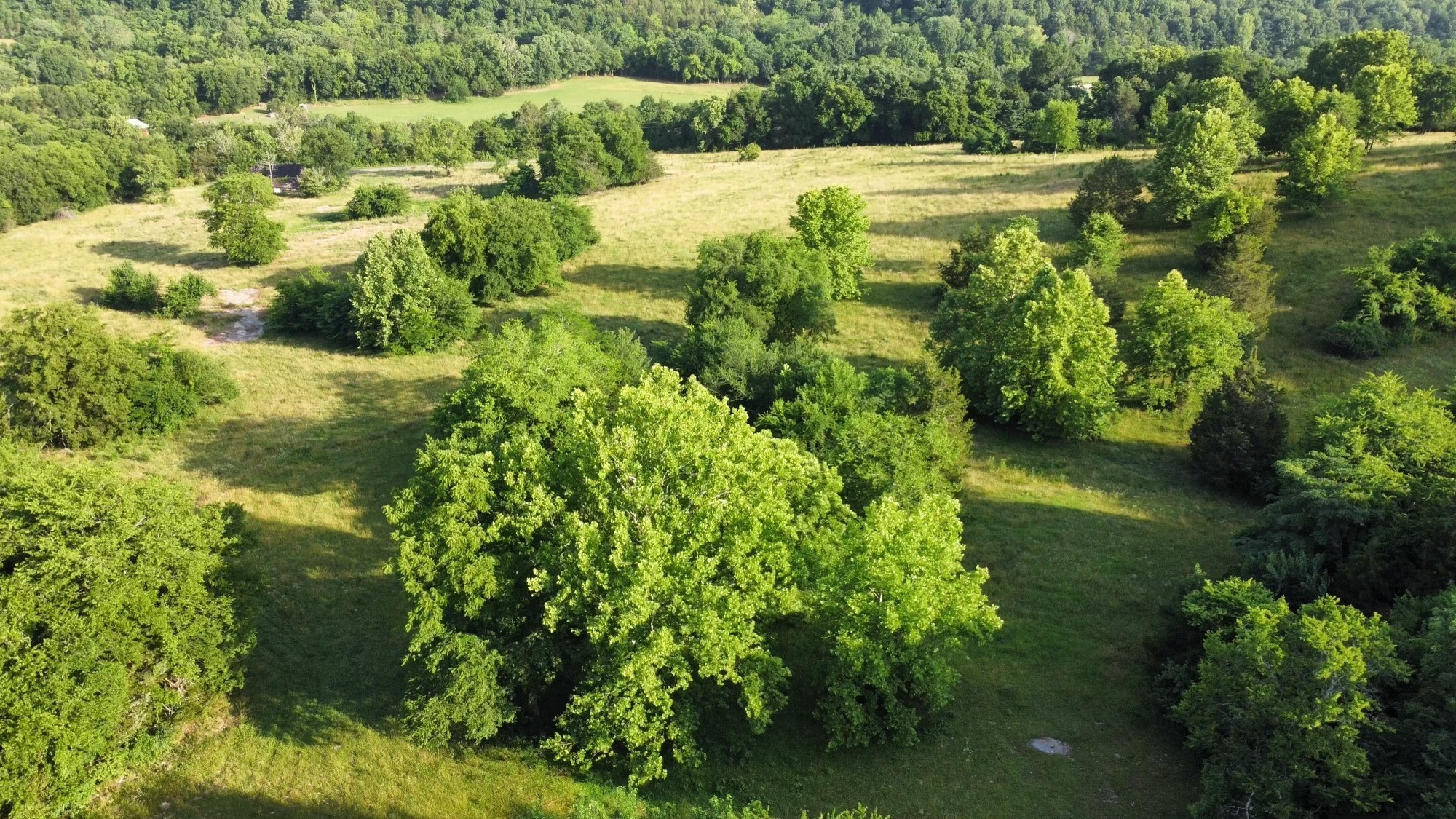 3550 Kennedy Creek Road Watertown TN 37184