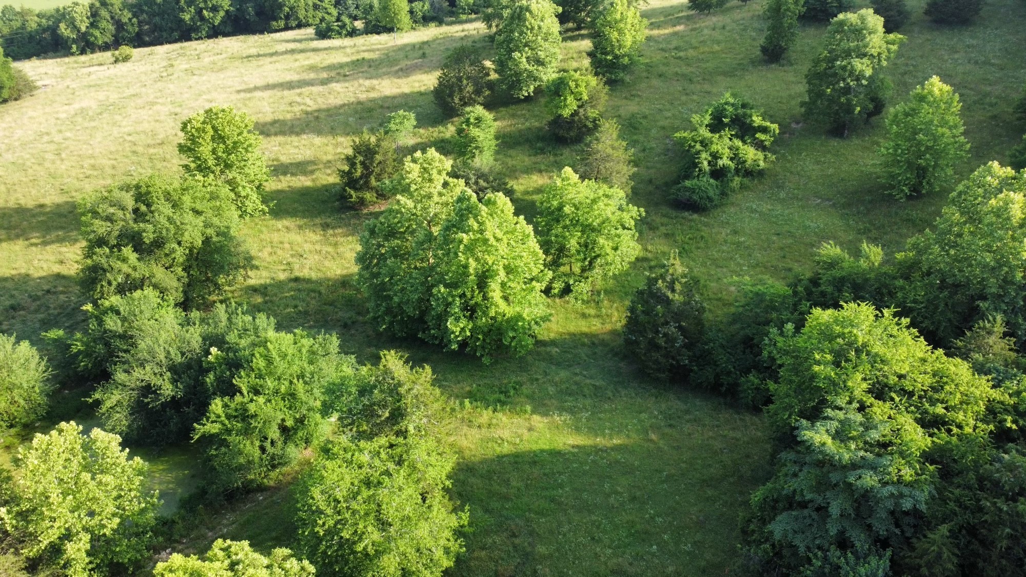 3550 Kennedy Creek Road Watertown TN 37184