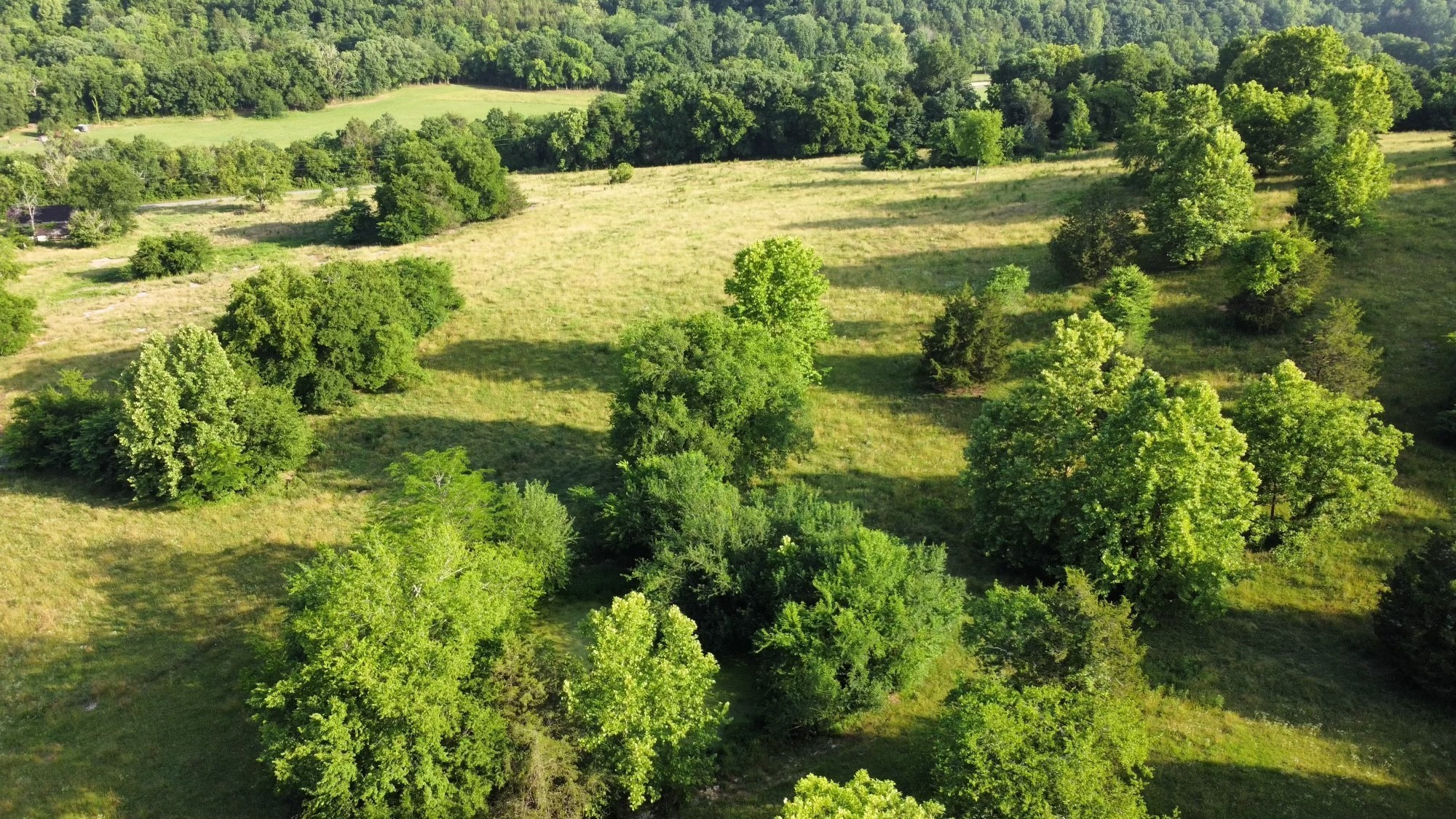 3550 Kennedy Creek Road Watertown TN 37184