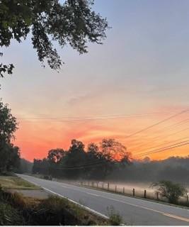 10467 Highway 13 Cumberland City TN 37050