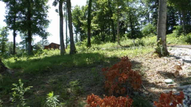 0 Rock Fish Lane Hilham TN 38568