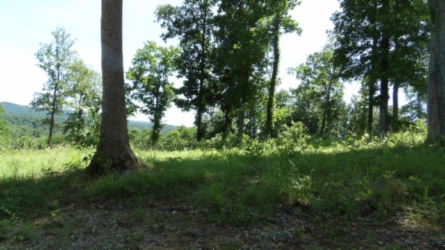 0 Rock Fish Lane Hilham TN 38568