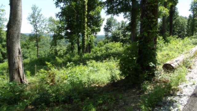 0 Rock Fish Lane Hilham TN 38568