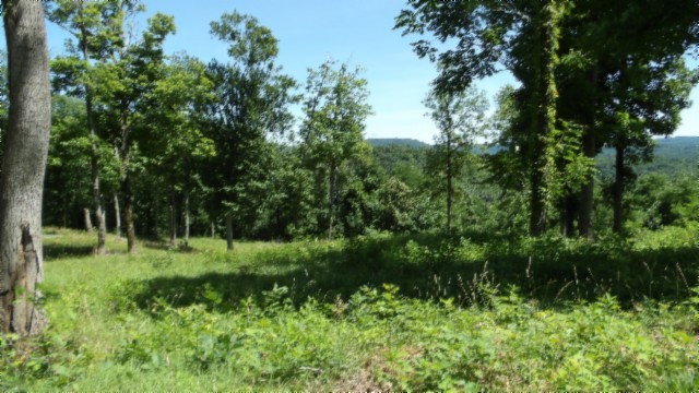 0 Rock Fish Lane Hilham TN 38568