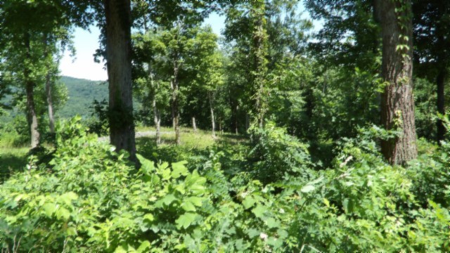 0 Rock Fish Lane Hilham TN 38568