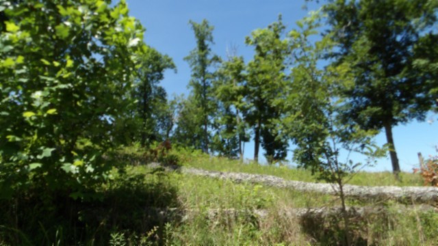 0 Rock Fish Lane Hilham TN 38568