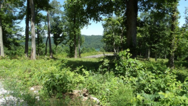 0 Rock Fish Lane Hilham TN 38568