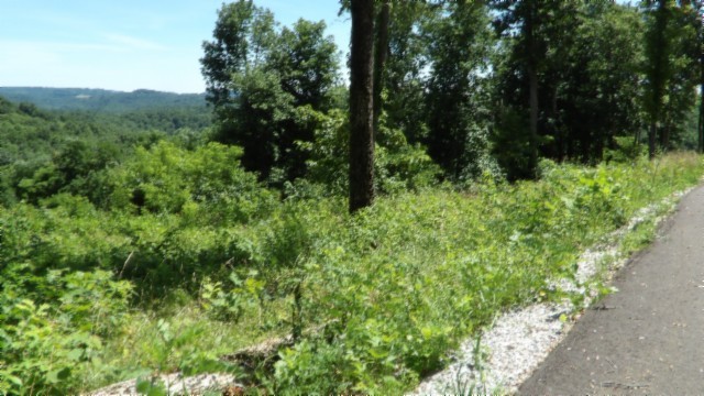 0 Rock Fish Lane Hilham TN 38568