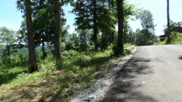 0 Rock Fish Lane Hilham TN 38568