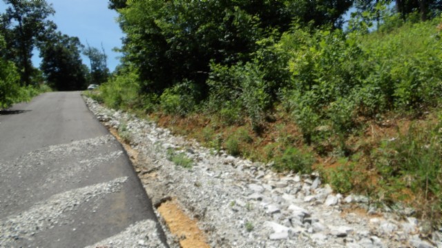 0 Rock Fish Lane Hilham TN 38568