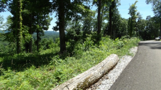 0 Rock Fish Lane Hilham TN 38568