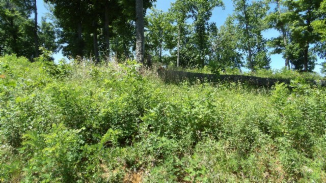 0 Rock Fish Lane Hilham TN 38568