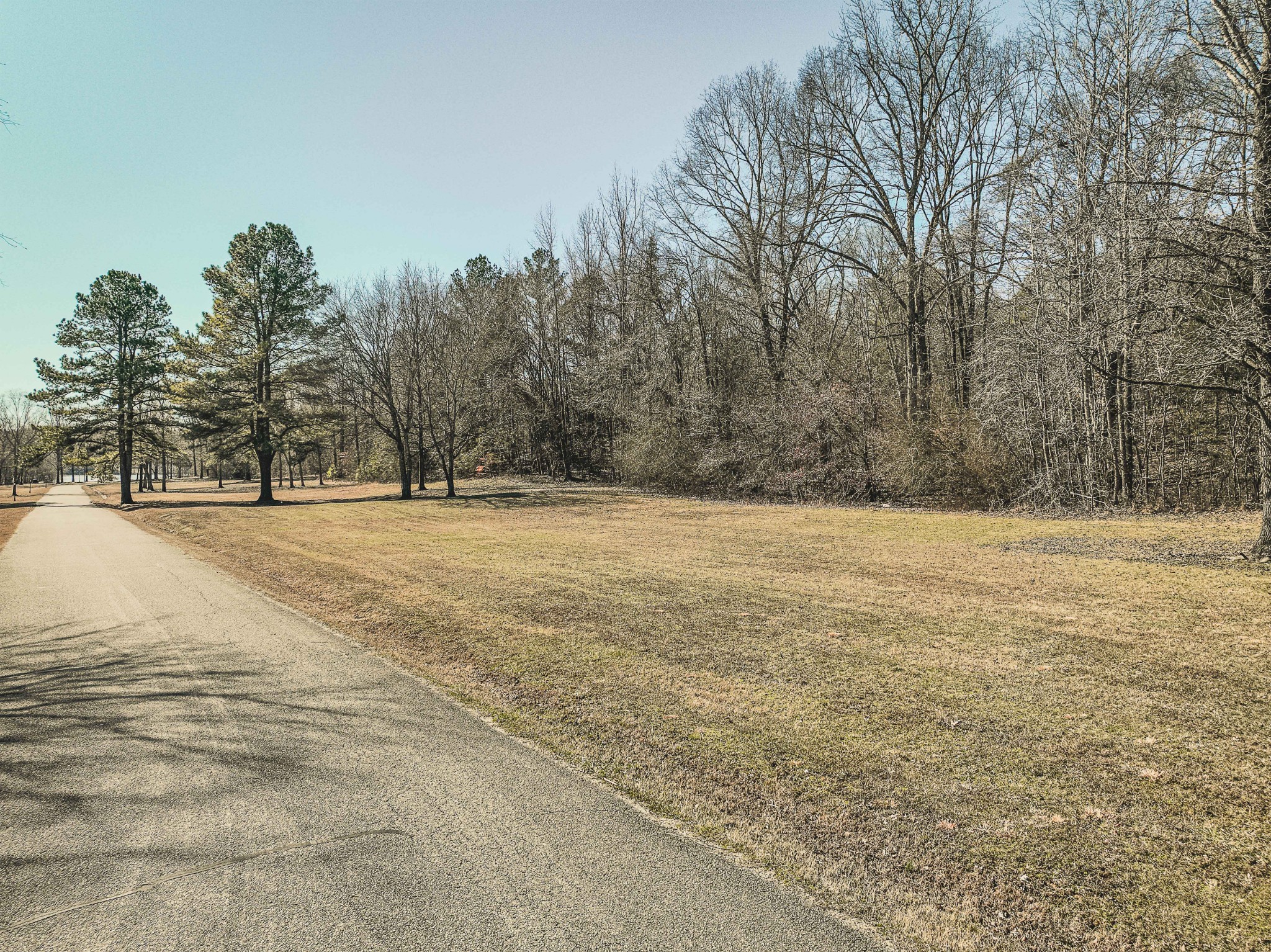 0 Creek Ridge Cove Parsons TN 38363