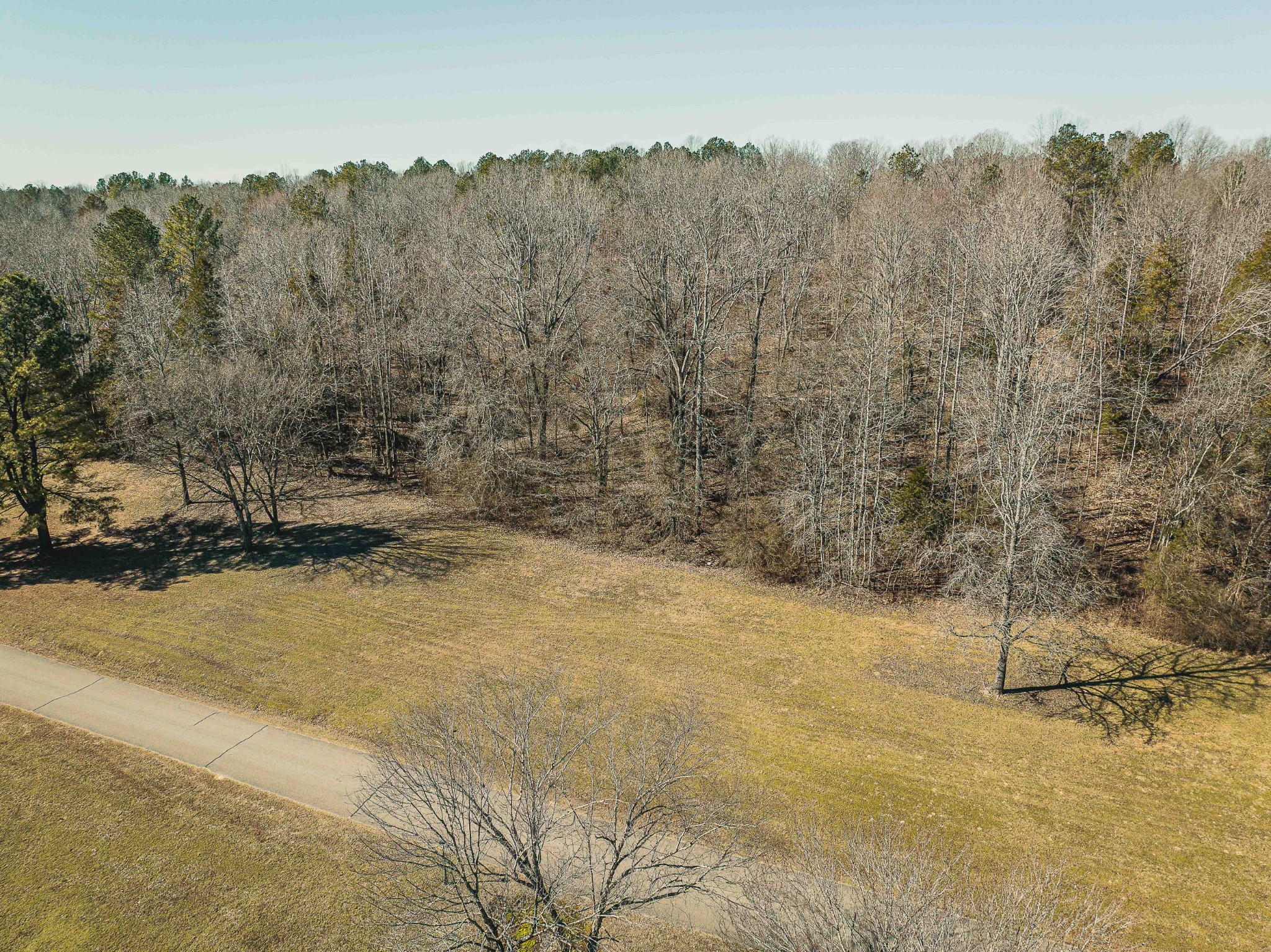 0 Creek Ridge Cove Parsons TN 38363