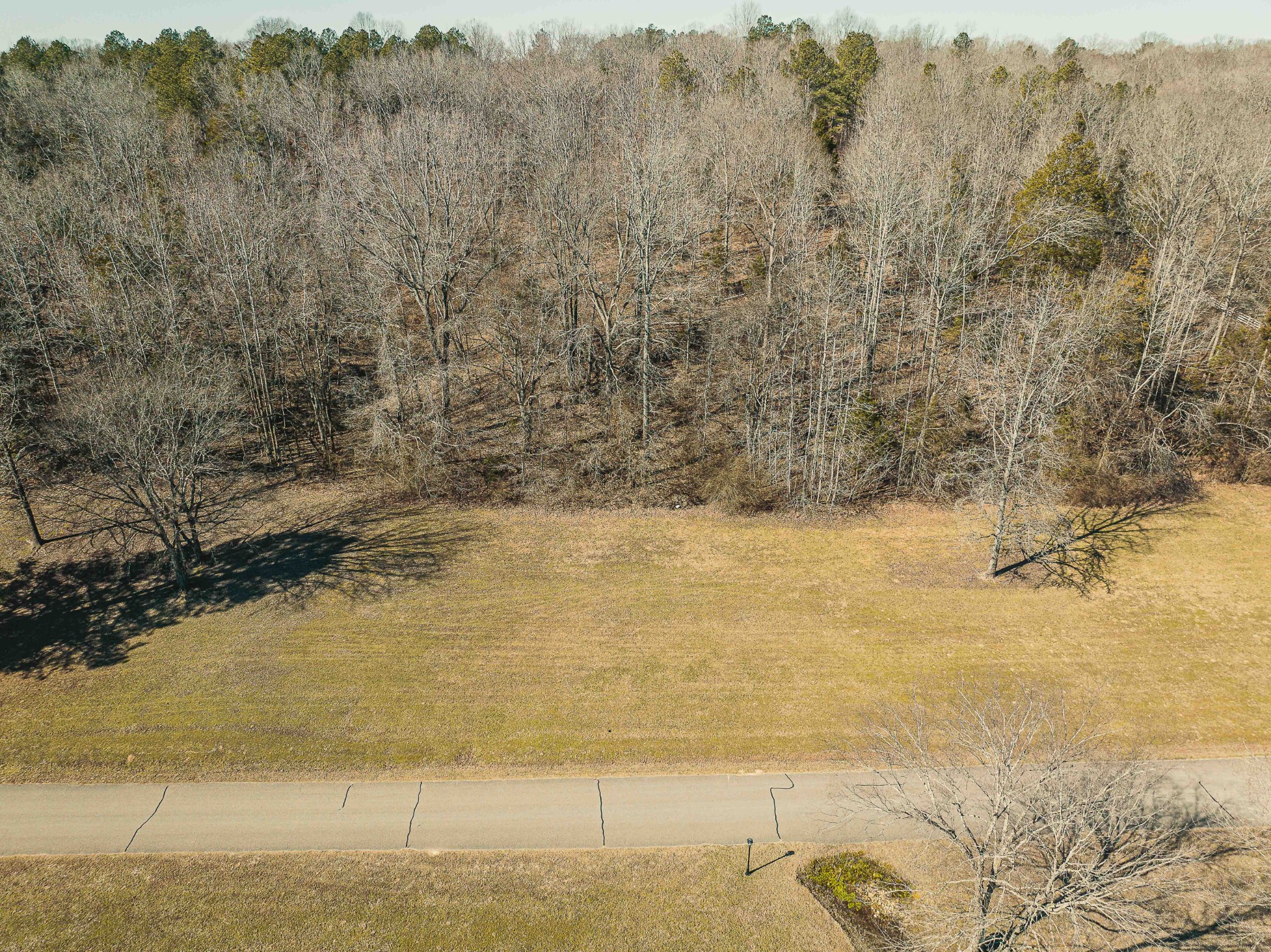 0 Creek Ridge Cove Parsons TN 38363