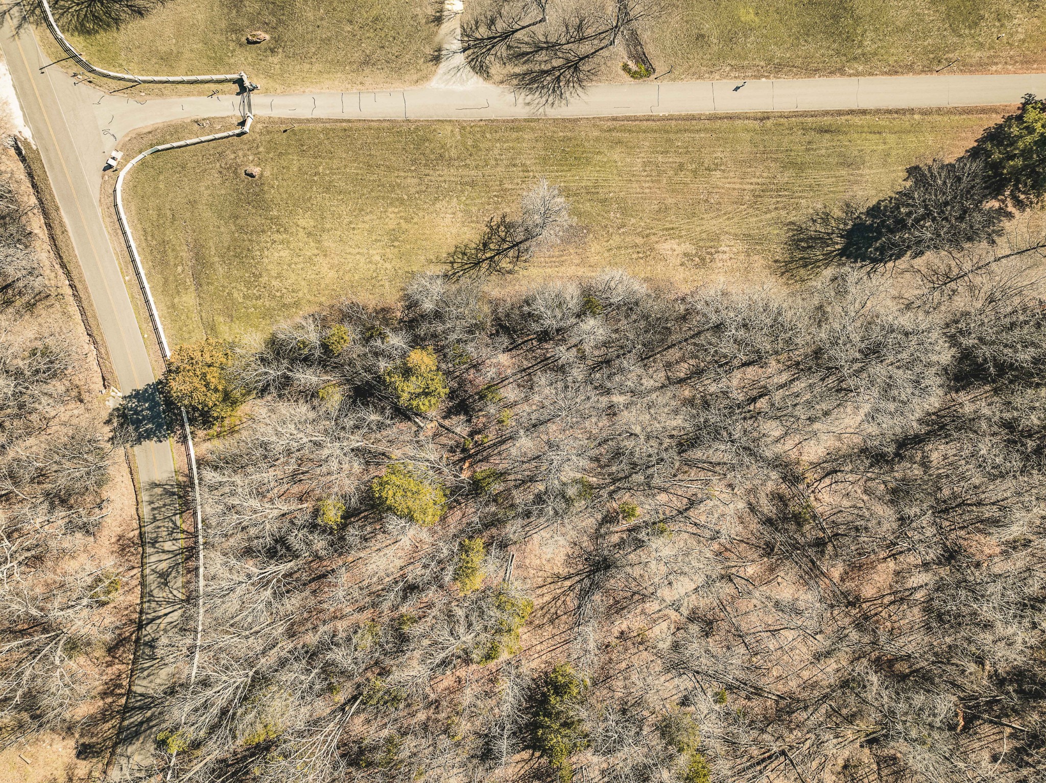 0 Creek Ridge Cove Parsons TN 38363