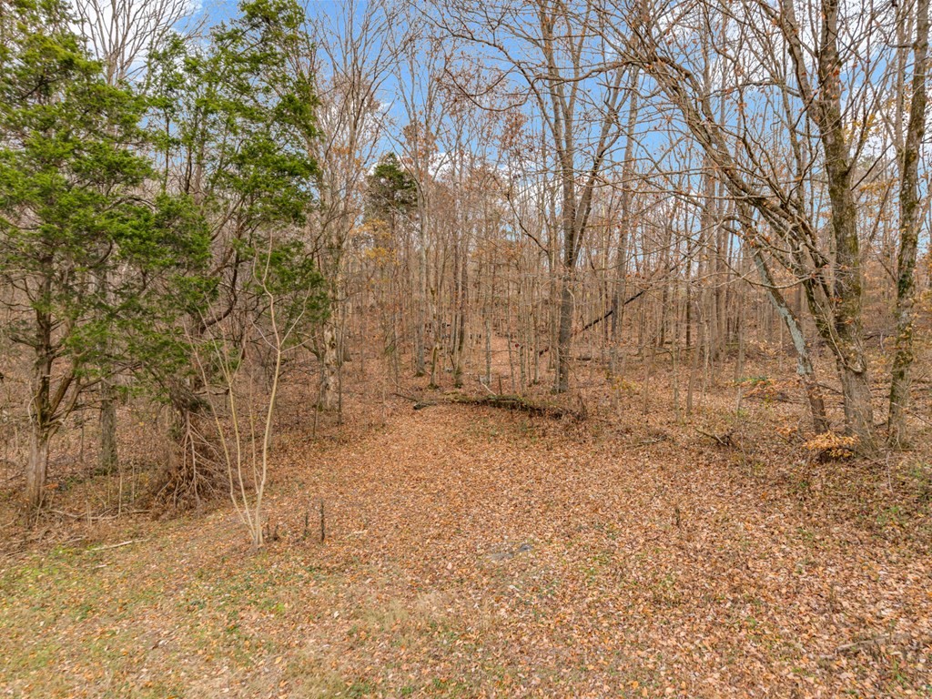 4934 N York Highway Pall Mall TN 38577