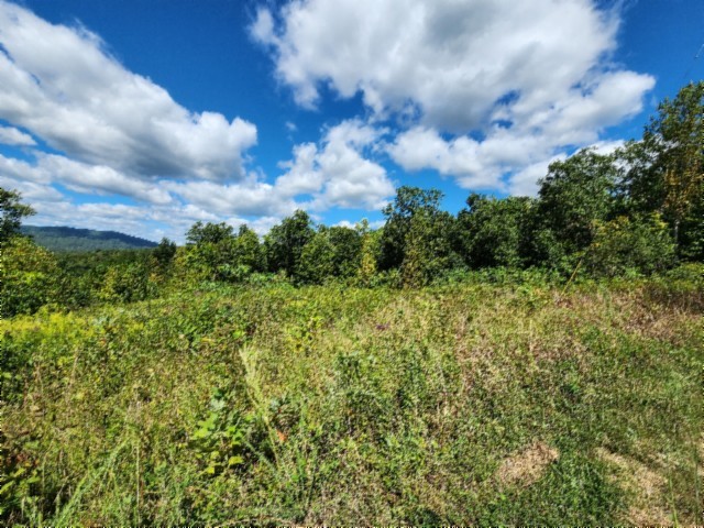0 Tomahawk Road Jamestown TN 38556