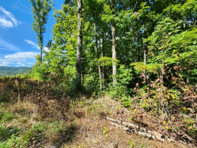 0 Tomahawk Road Jamestown TN 38556