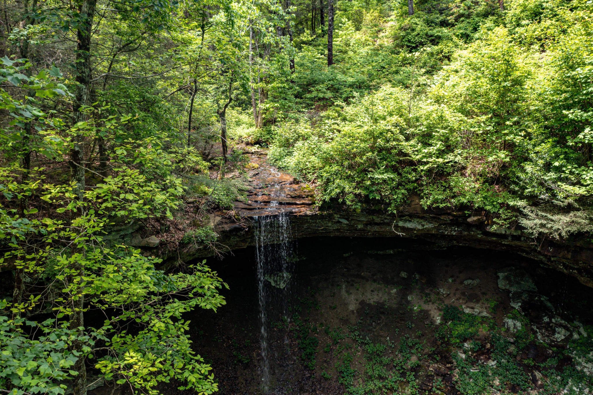 196 Big Bluff View Pikeville TN 37367