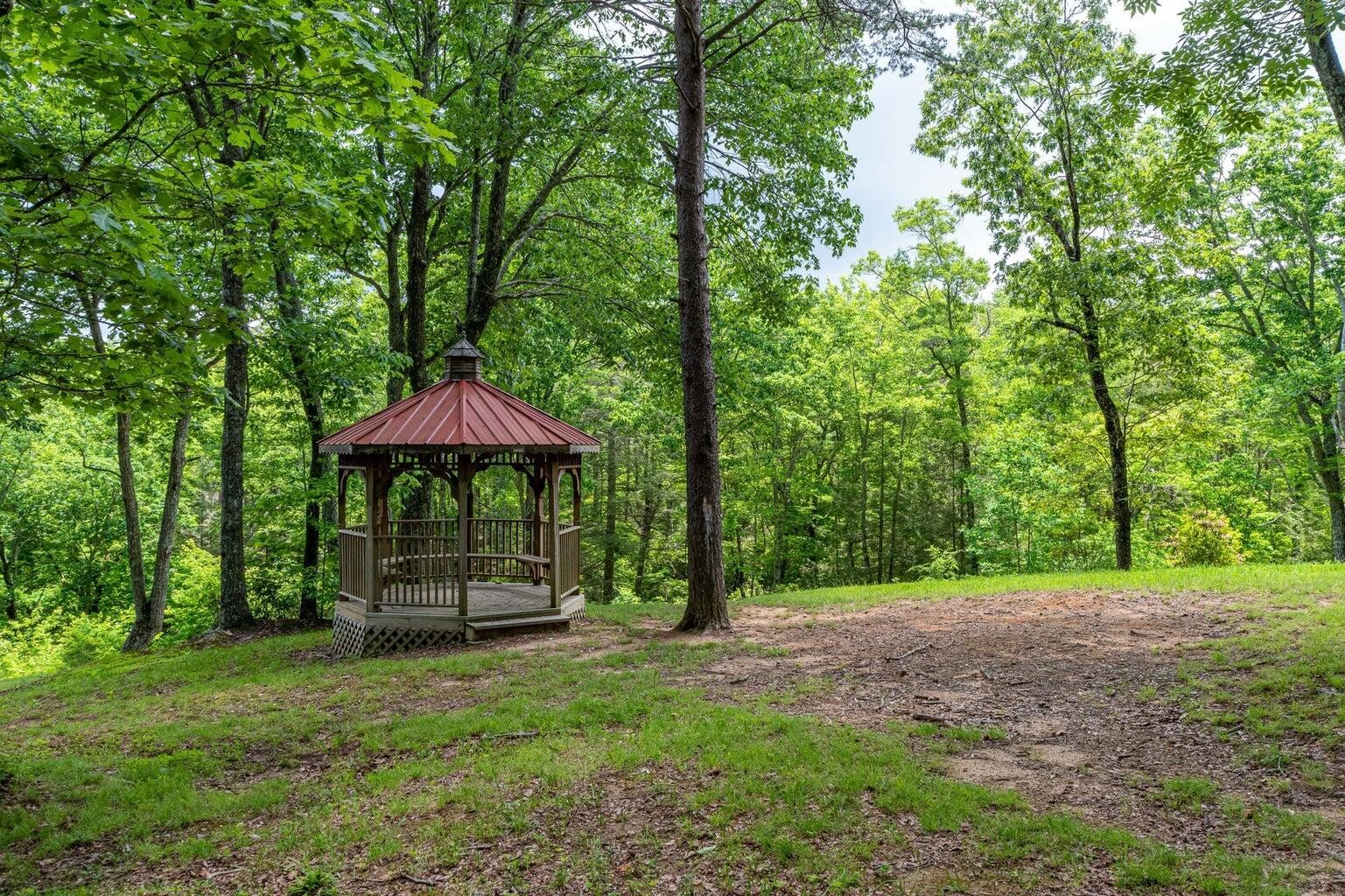 196 Big Bluff View Pikeville TN 37367