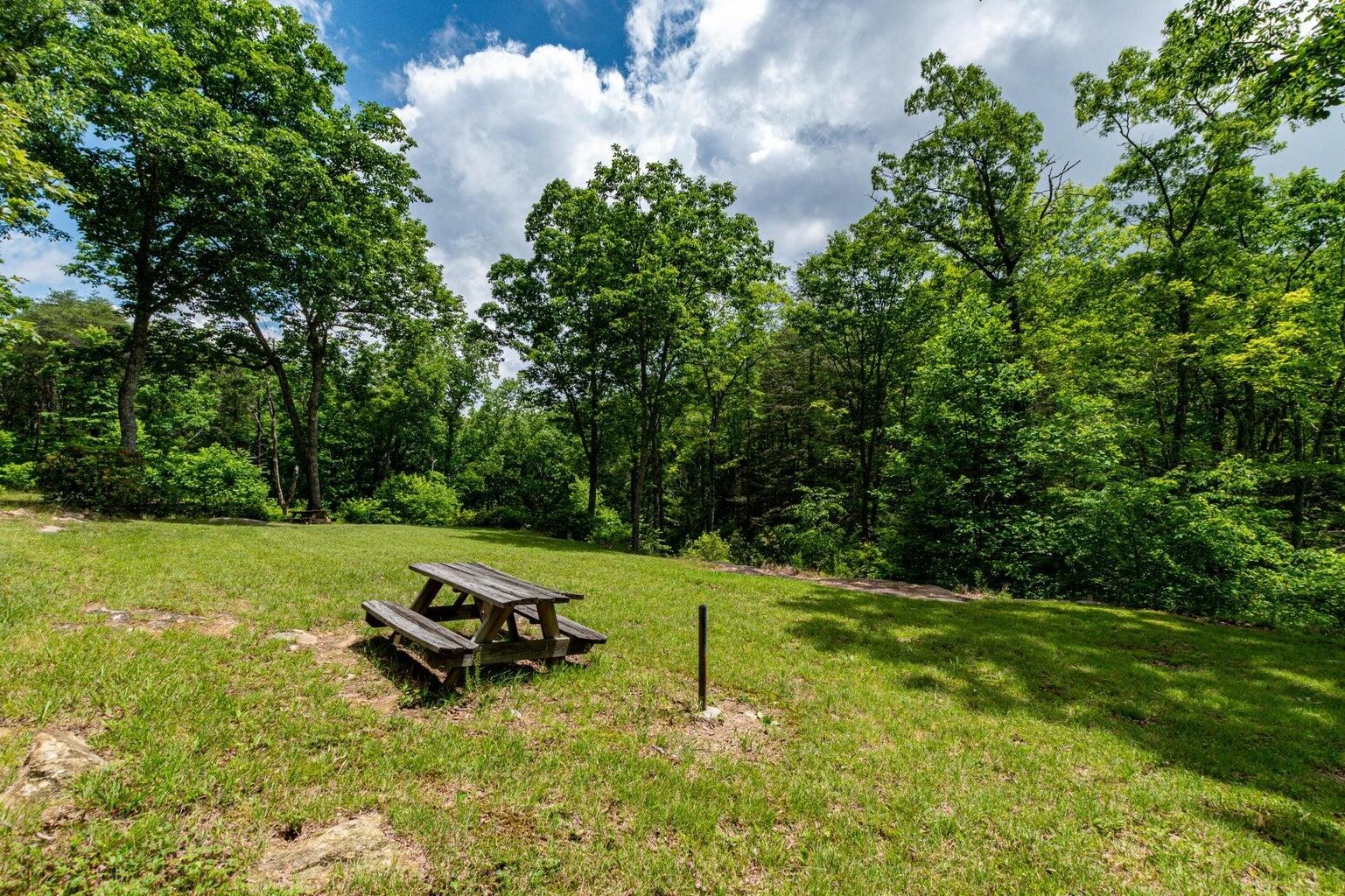 196 Big Bluff View Pikeville TN 37367