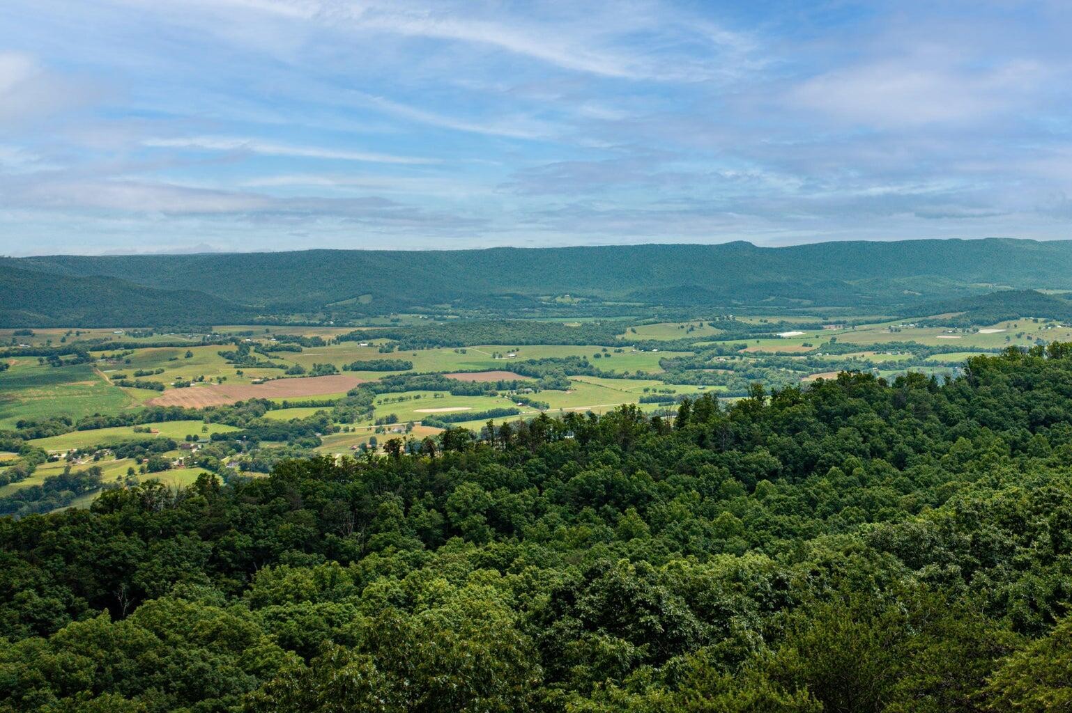 196 Big Bluff View Pikeville TN 37367