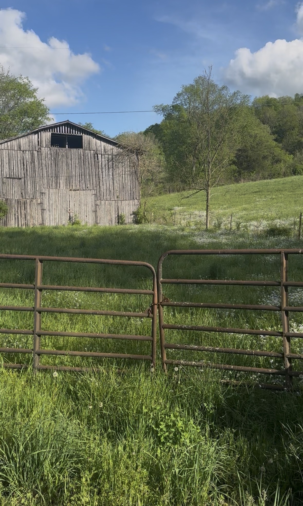 0 Little Salt Lick Road Carthage TN 37030