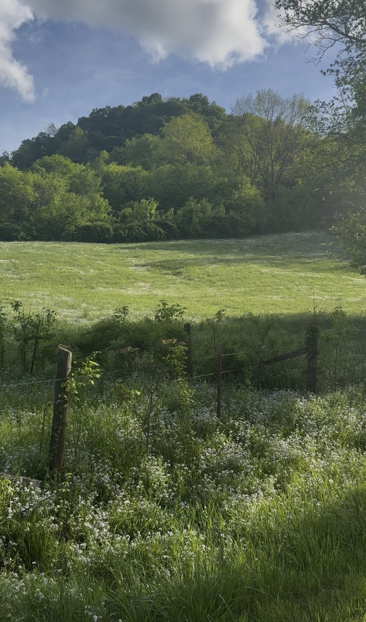 0 Little Salt Lick Road Carthage TN 37030