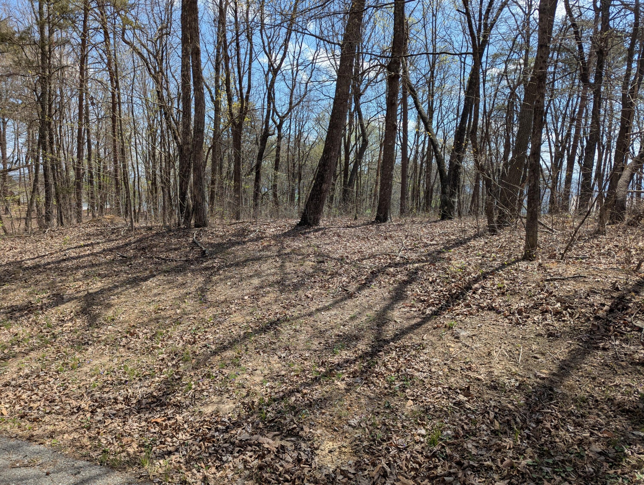 17 Duckwood Lane Evensville TN 37332
