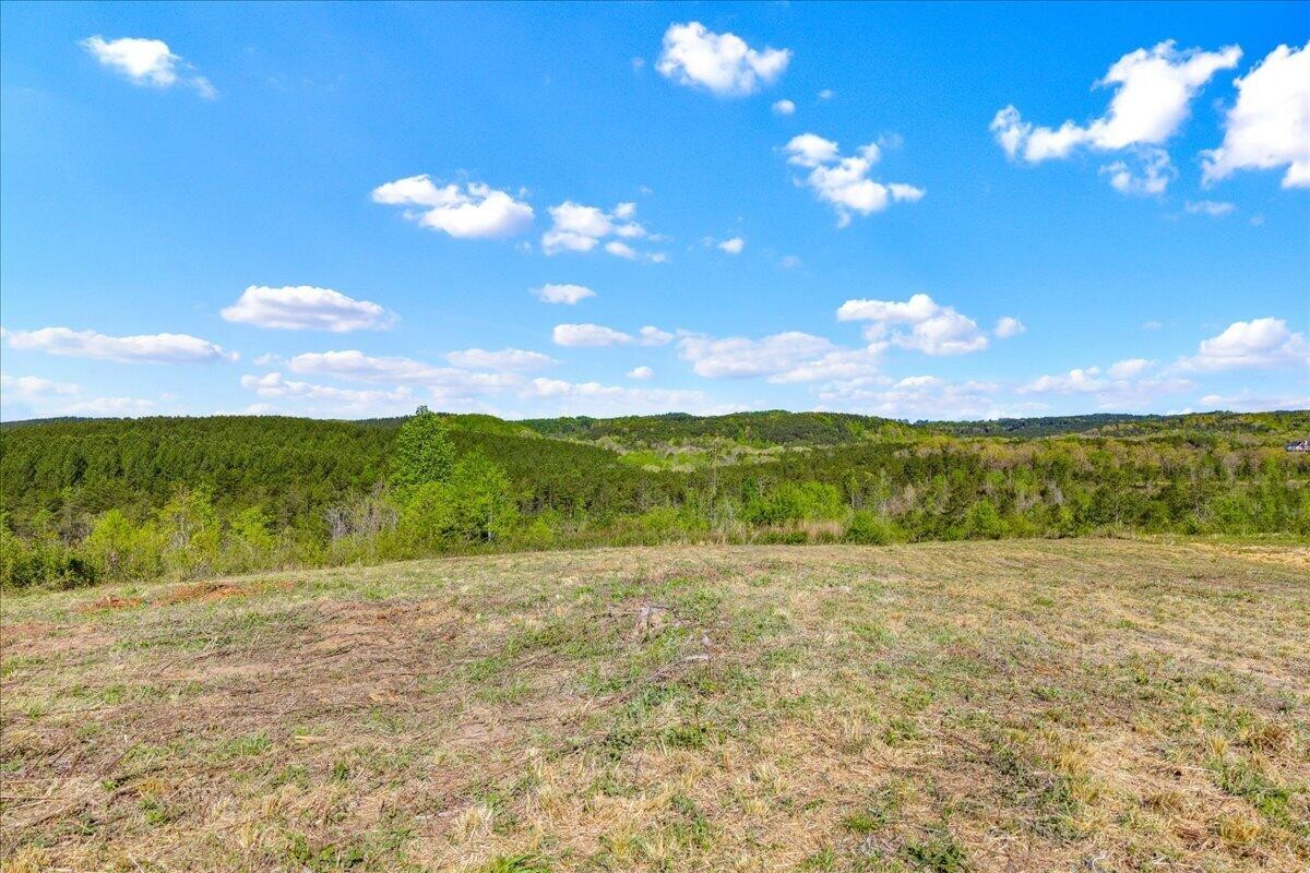 360 County Road 963 Calhoun TN 37309