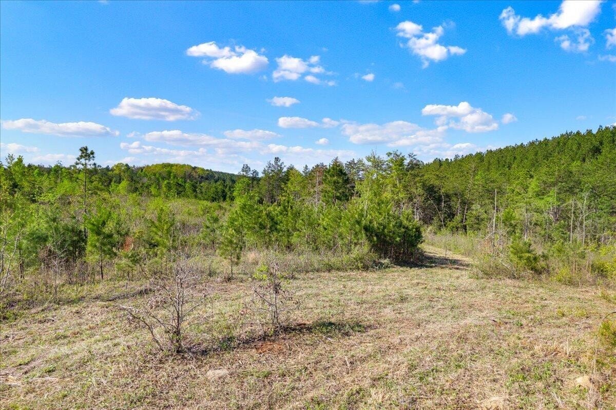 360 County Road 963 Calhoun TN 37309