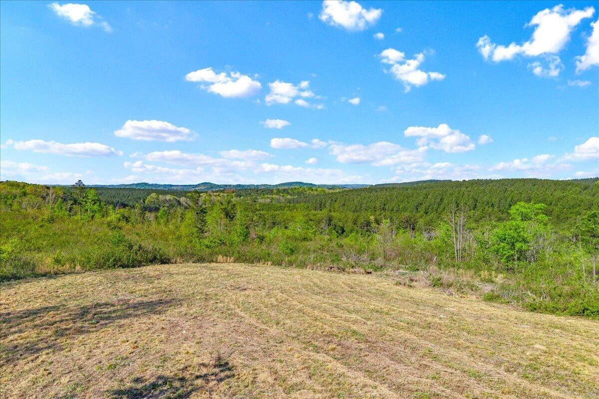 360 County Road 963 Calhoun TN 37309