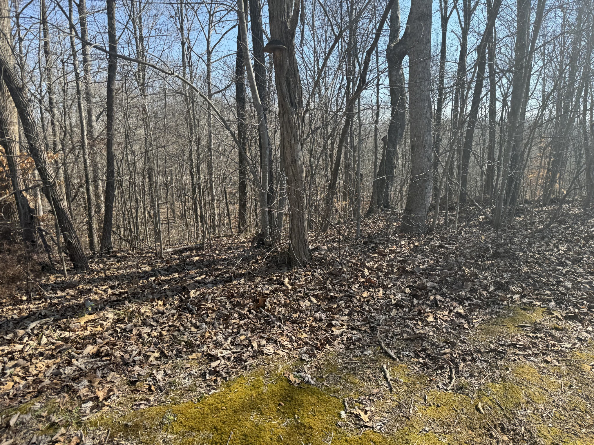 0 Tennis Court Center Smithville TN 37166