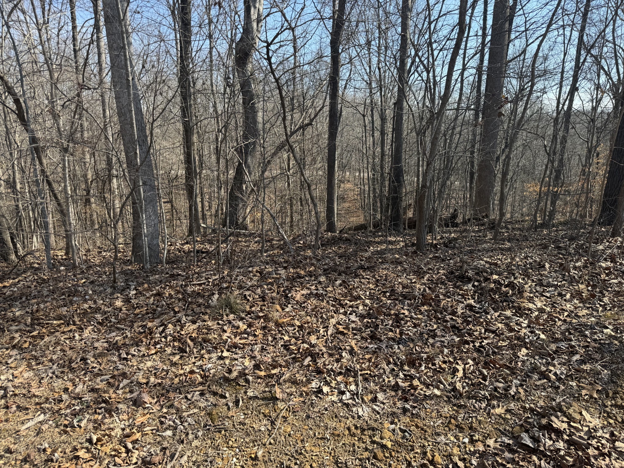 0 Tennis Court Center Smithville TN 37166