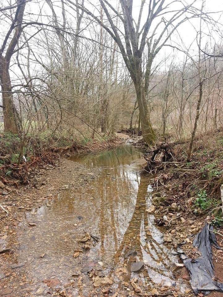 0 Old Bottom Road Lafayette TN 37083