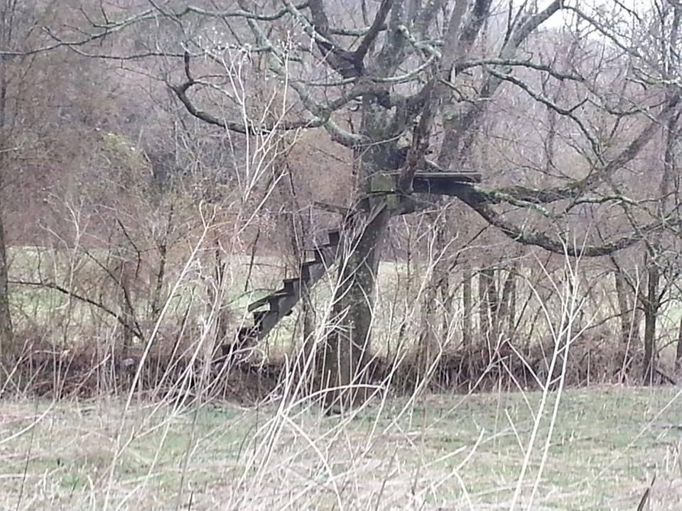 0 Old Bottom Road Lafayette TN 37083
