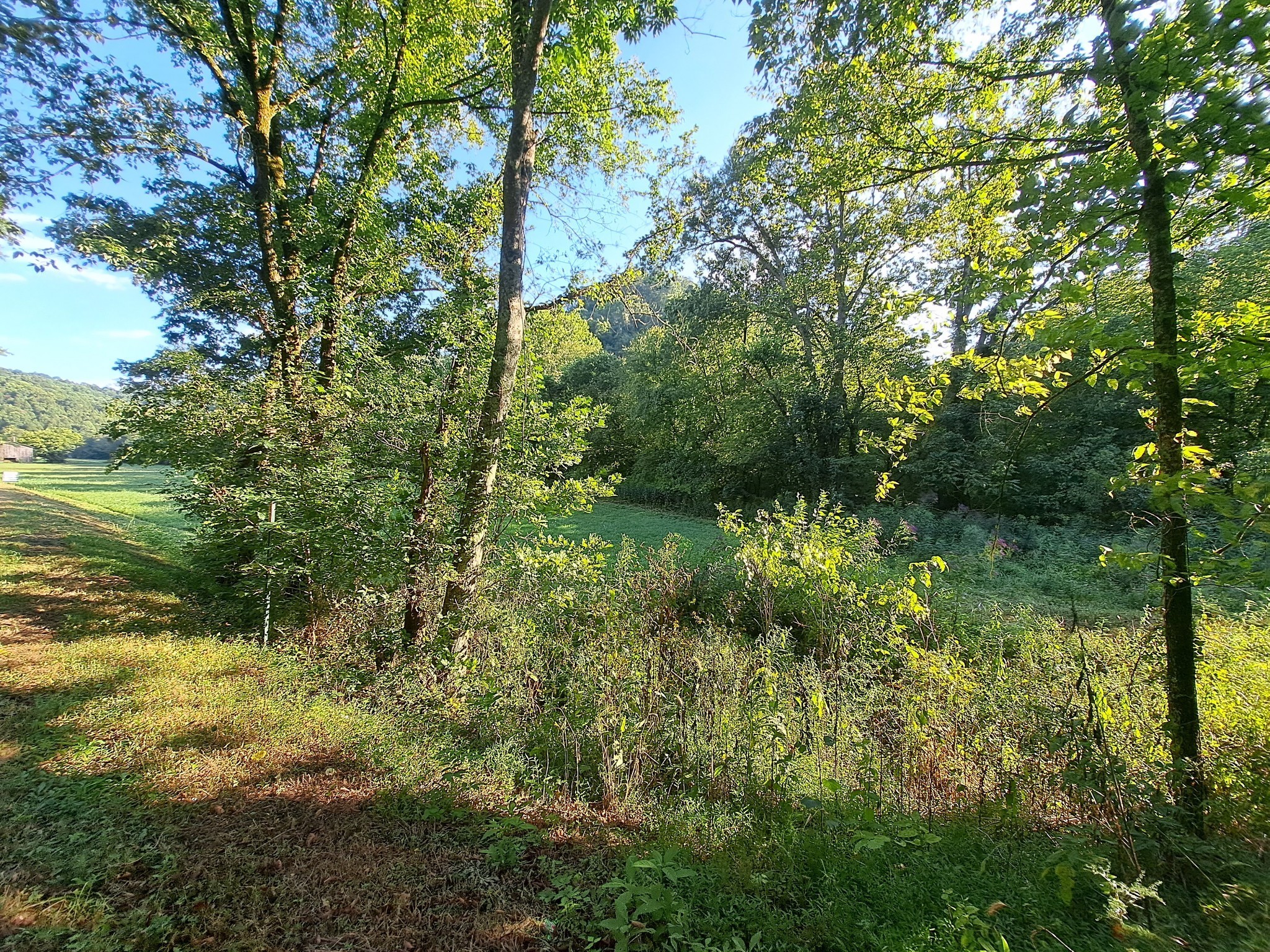 0 Old Bottom Road Lafayette TN 37083