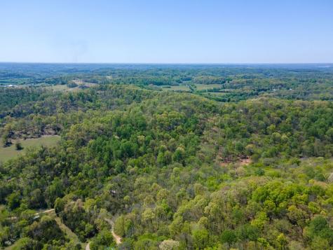 0 Williams Road Cornersville TN 37047