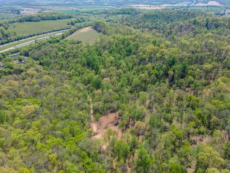 0 Williams Road Cornersville TN 37047
