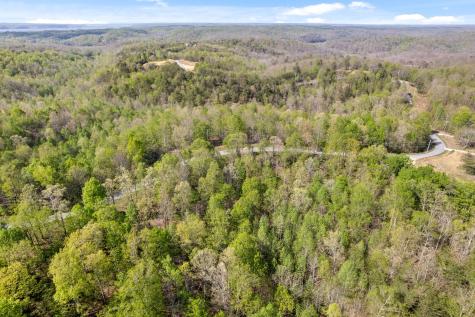 0 Highwater Road Waverly TN 37185