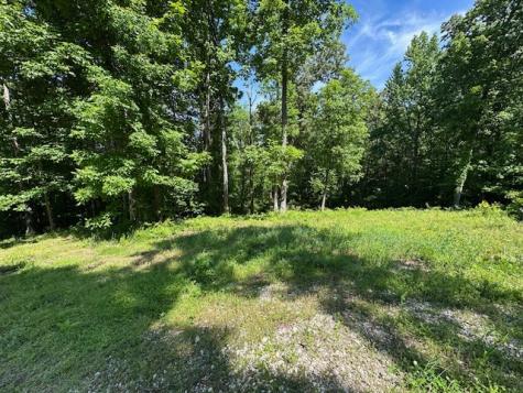 84 Lakeview Drive Eva TN 38333