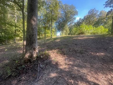84 Lakeview Drive Eva TN 38333