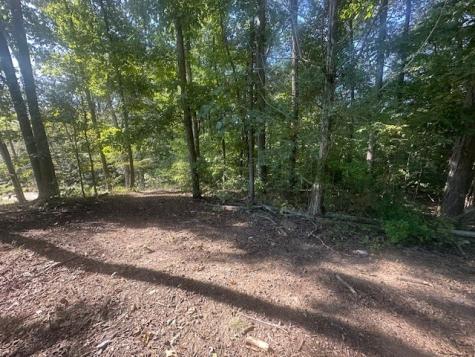 84 Lakeview Drive Eva TN 38333