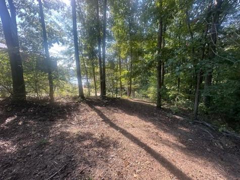 84 Lakeview Drive Eva TN 38333